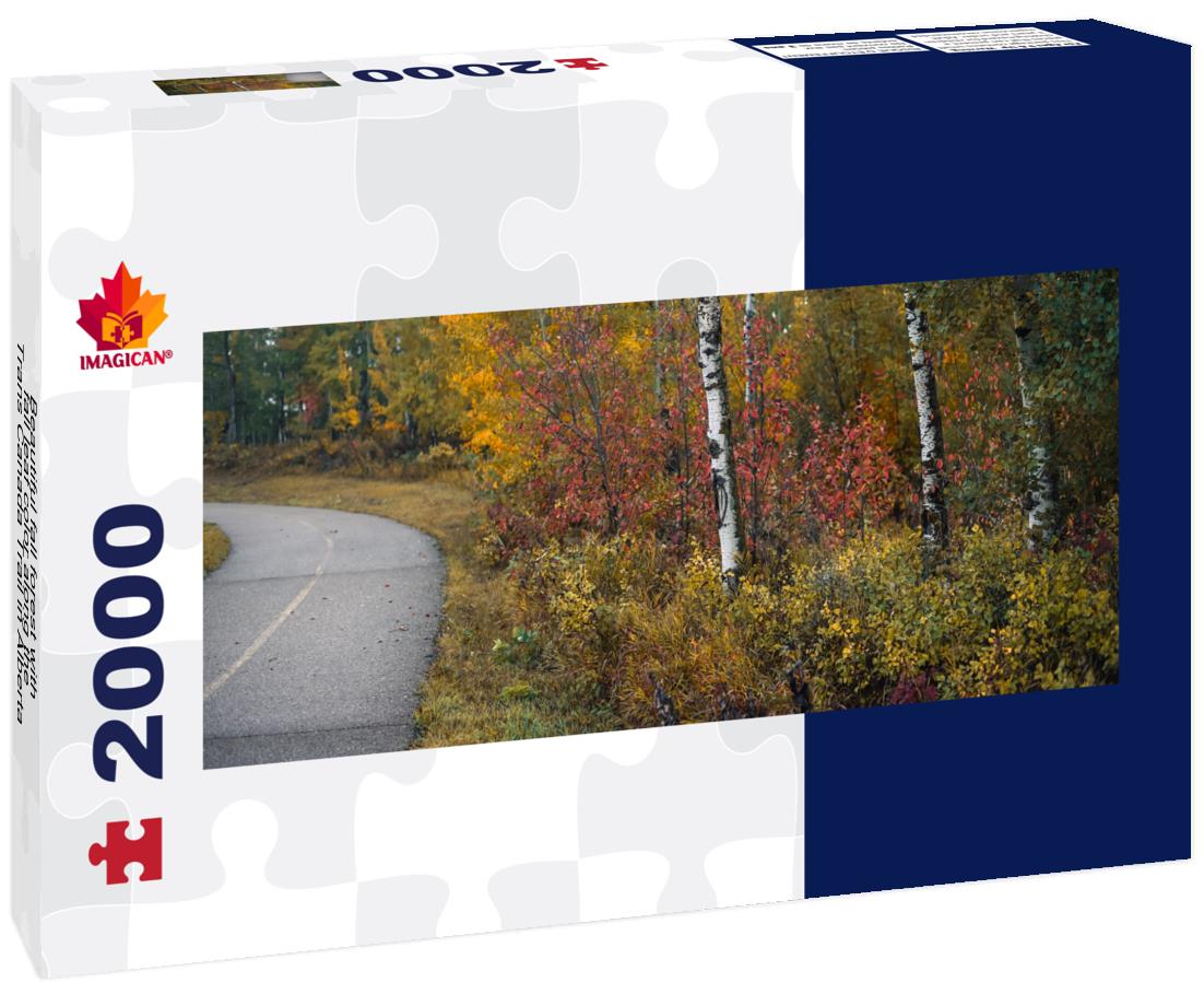Beautiful fall forest with fall leaf color along the Trans Canada Trail 2000pc Panoramic Puzzle