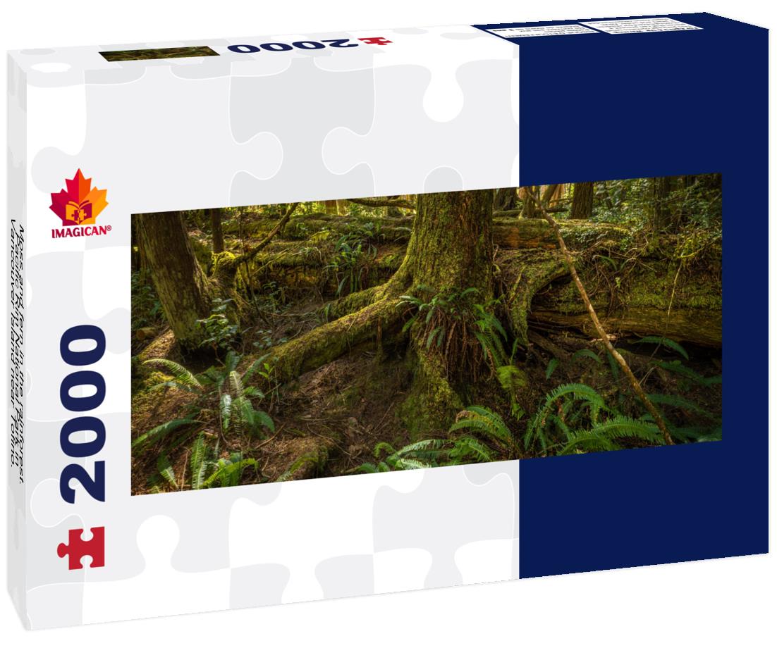 Pacific Rim National Park in Vancouver Island near Tofino. British Columbia. 2000pc Panoramic Puzzle