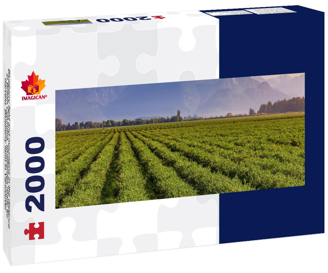 Blueberry field and mountains in the distance in British Columbia, Vancouver 2000pc Panoramic Puzzle