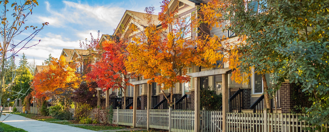 A colorful pedestrian promenade in a residential area in British Columbia 2000pc Panoramic Puzzle