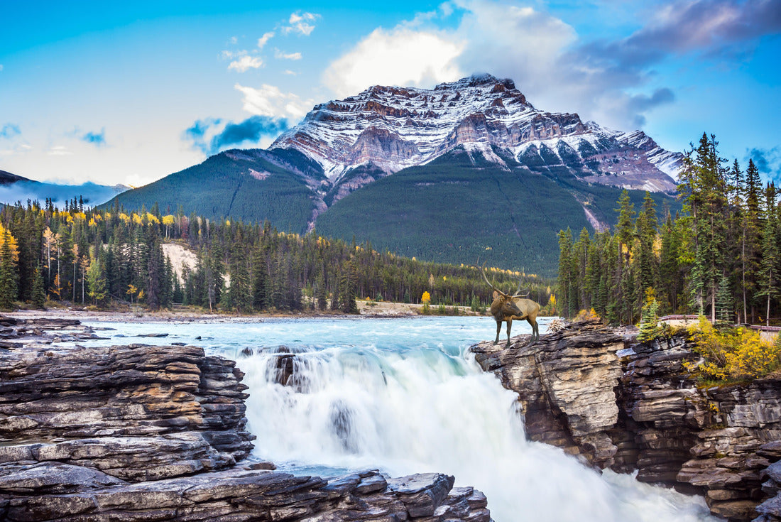 Red deer at waterfall. Jasper Park 2000pc Puzzle