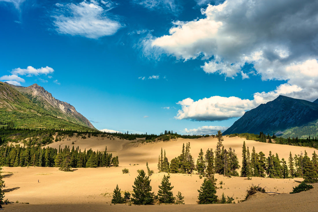 Carcross Desert in Carcross, Yukon 2000pc Puzzle
