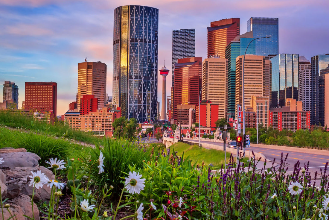 Flowers in downtown Calgary skyline 2000pc Puzzle