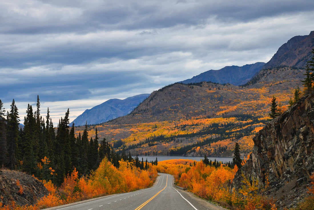 South Klondike Highway, Yukon, Canada 2000pc Puzzle