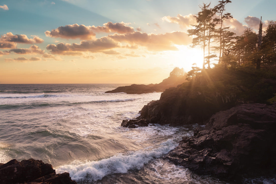 Cox Bay in Vancouver Island, British Columbia 2000pc Puzzle
