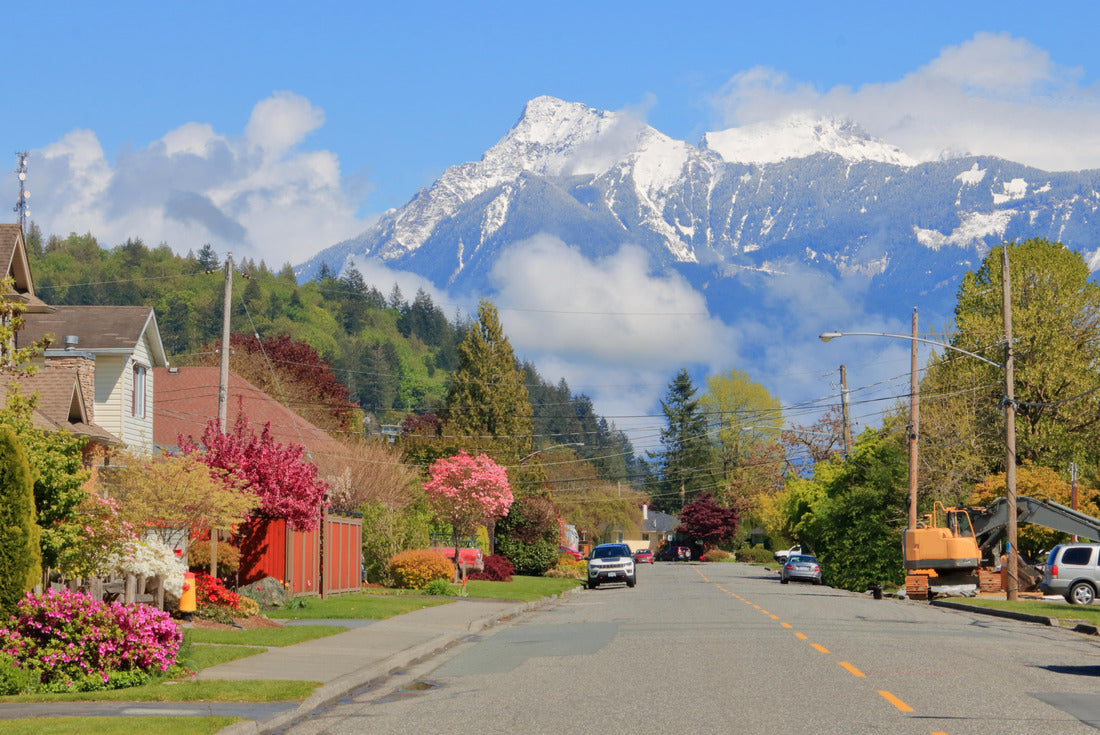A residential street in Chilliwack, BC, Canada 2000pc Puzzle