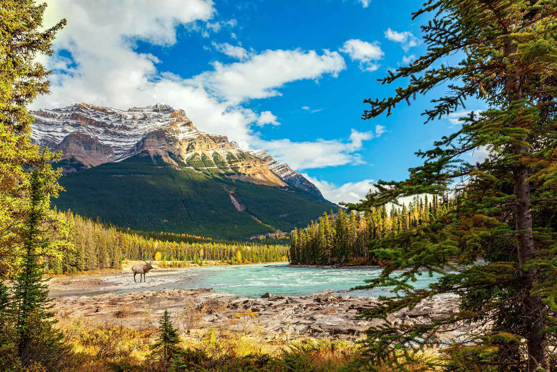 Jasper National Park, Alberta, Canadian Rockies 2000pc Puzzle