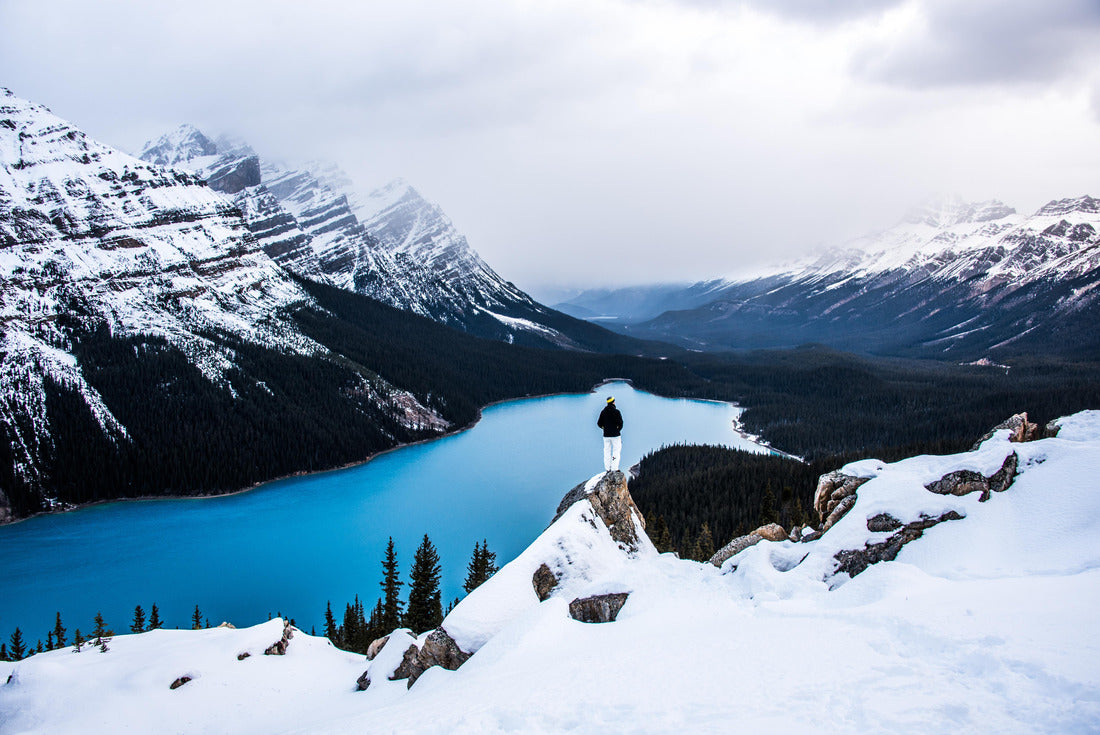 ImagiCan Jigsaw Puzzle View of Peyto Lake, Banff National Park, Alberta 2000 pieces