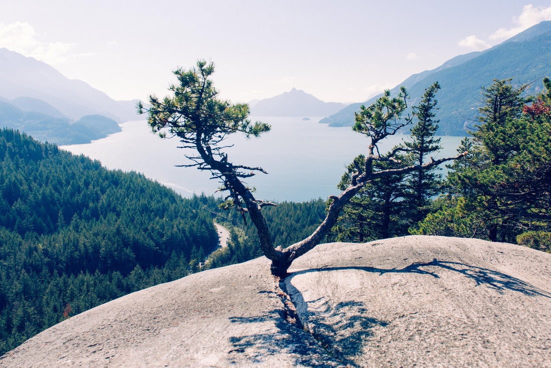 Quercus Point overlooking Murrin Provincial Park, BC 2000pc Puzzle