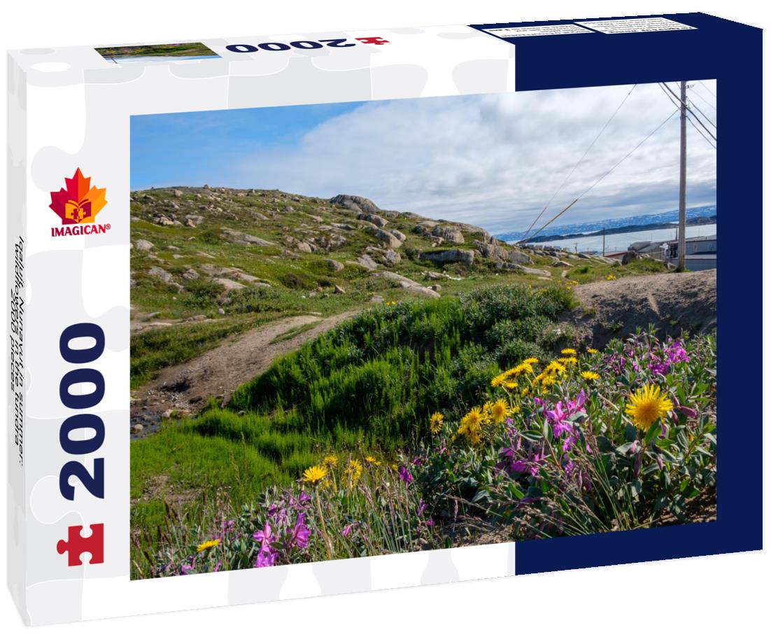 Iqaluit, Nunavut in summer: wildflowers in the tundra 2000pc Puzzle