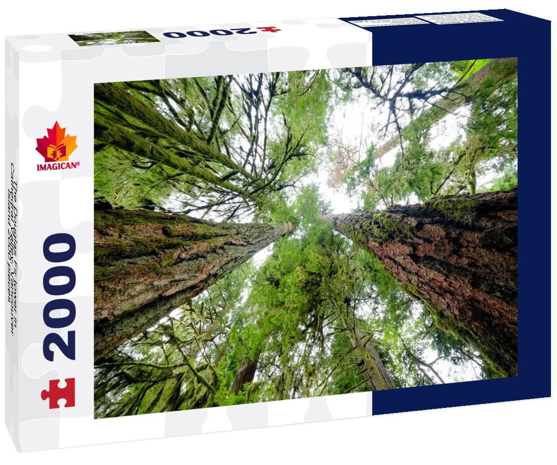 The Douglas Fir tower in Cathedral Valley, Vancouver Island 2000pc Puzzle