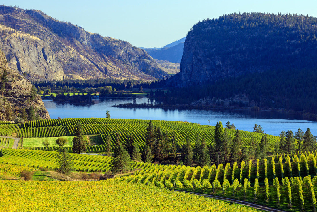 Okanagan Valley in Okanagan Falls, British Columbia, Canada 2000pc Puzzle