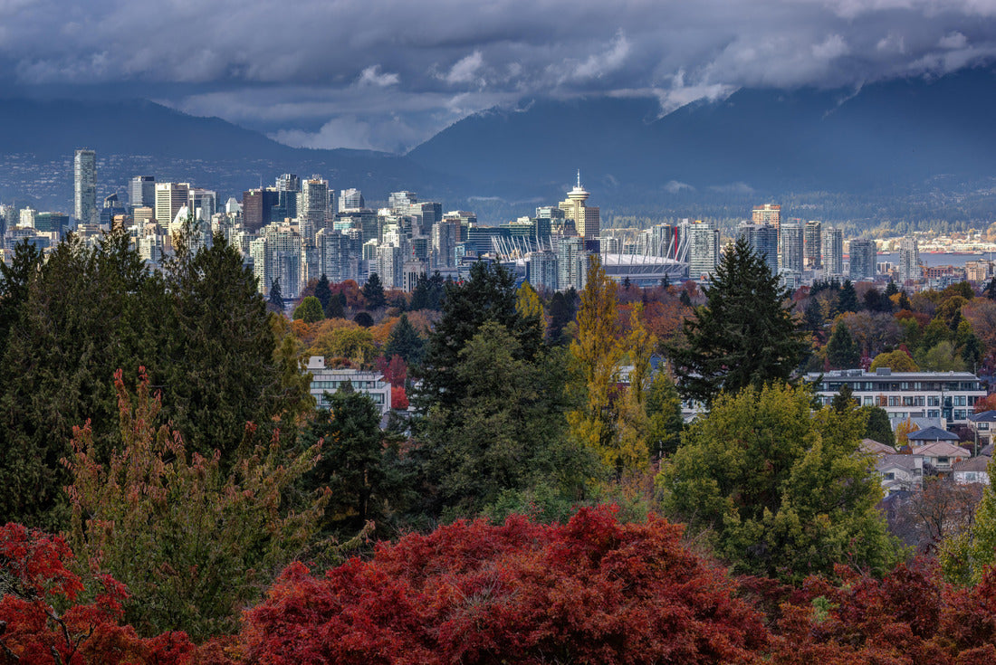 City view of Vancouver from Queen Elizabeth Park in the fall 2000pc Puzzle