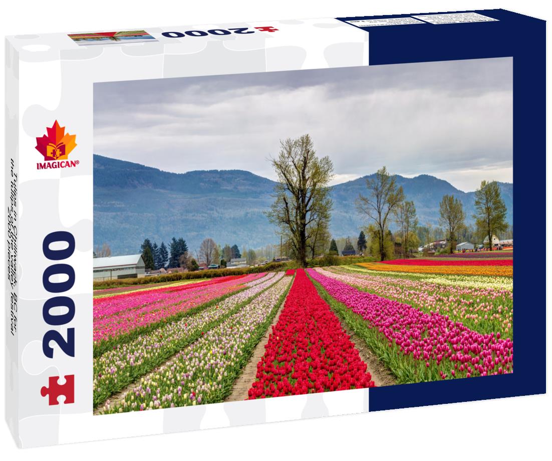 Tulips in Chilliwack, BC for the tulips of the valley festival 2000pc Puzzle