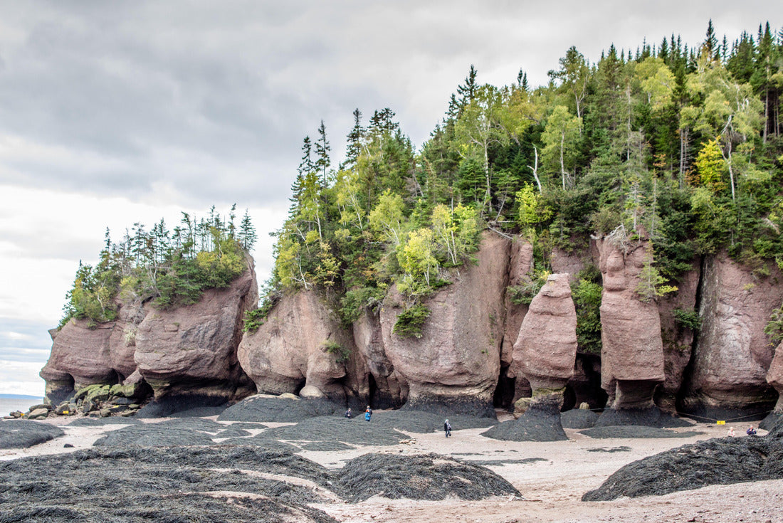 The Hopewell Rocks in the Bay of Fundy in New Brunswick, Canada 2000pc Puzzle