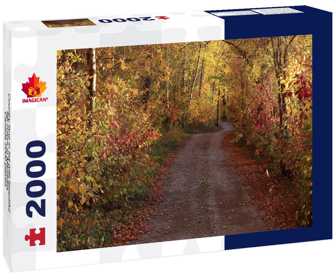 Country lane in fall with beautiful fall colors in Manitoba, Canada 2000pc Puzzle