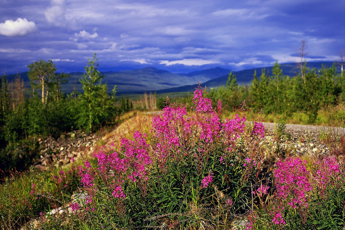 ImagiCan Jigsaw Puzzle Montreal across the river at sunset with city lights and urban buildings 2000 pieces