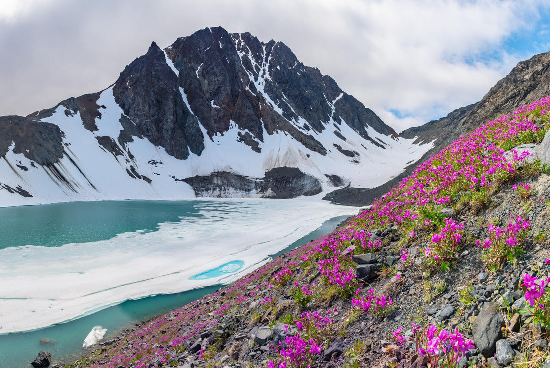 ImagiCan Jigsaw Puzzle Incredible natural landscape in the Yukon Territory, Canada near Alaska 2000 pieces