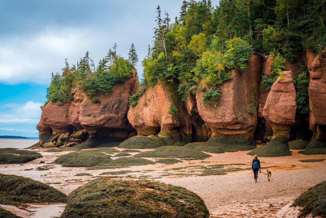 Hopewell Rocks Provincial Park, Bay of Fundy, Hopewell Cape, New Brunswick, Canada 2000pc Puzzle