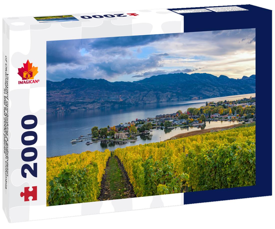 Vineyard overlooking a subdivision of Okanagan Lake Kelowna British Columbia in the fall 2000pc Puzzle