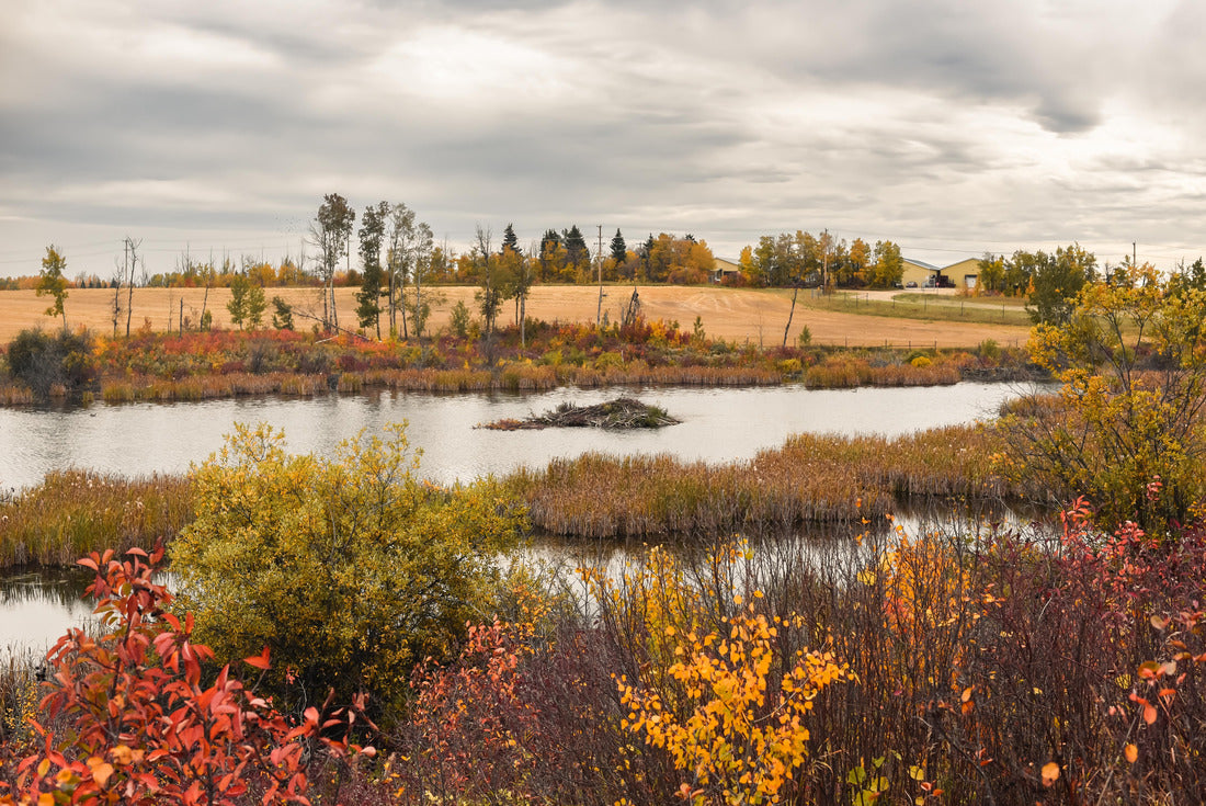 log cabin and beer lodge in the fall in Kuhnen Park in Lacombe County, Alberta 2000pc Puzzle