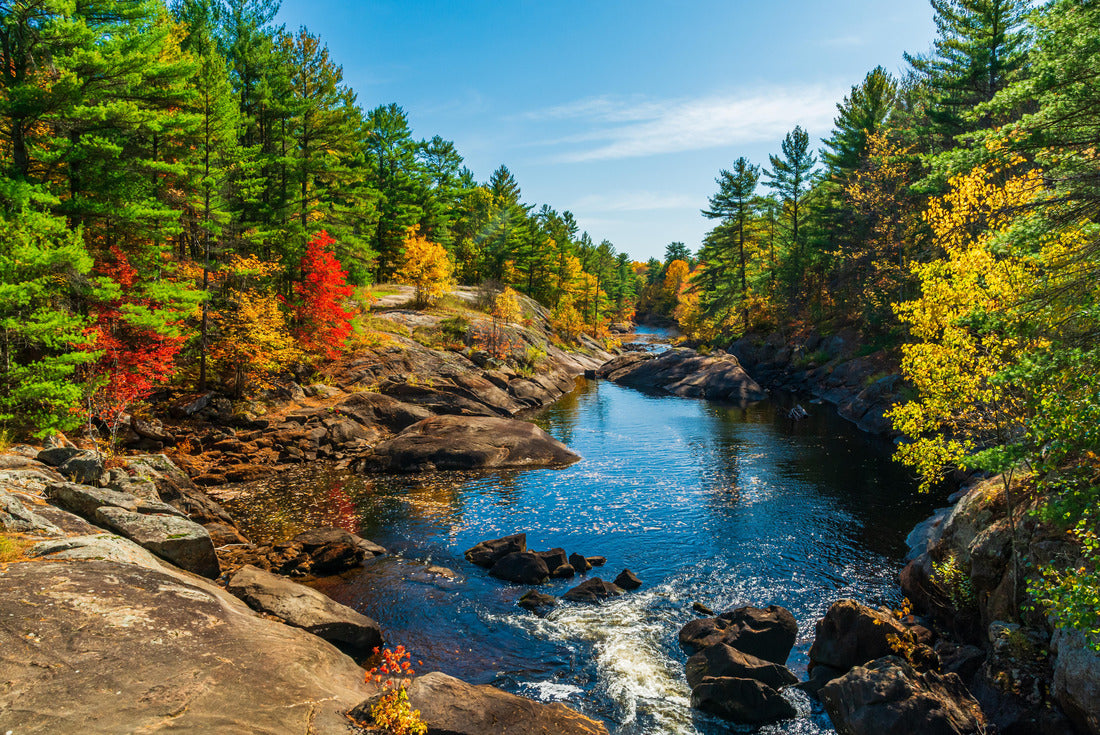 ImagiCan Jigsaw Puzzle Queen Elizabeth II. Wildlands Provincial Park Kawartha Lakes County Ontario 2000 pieces