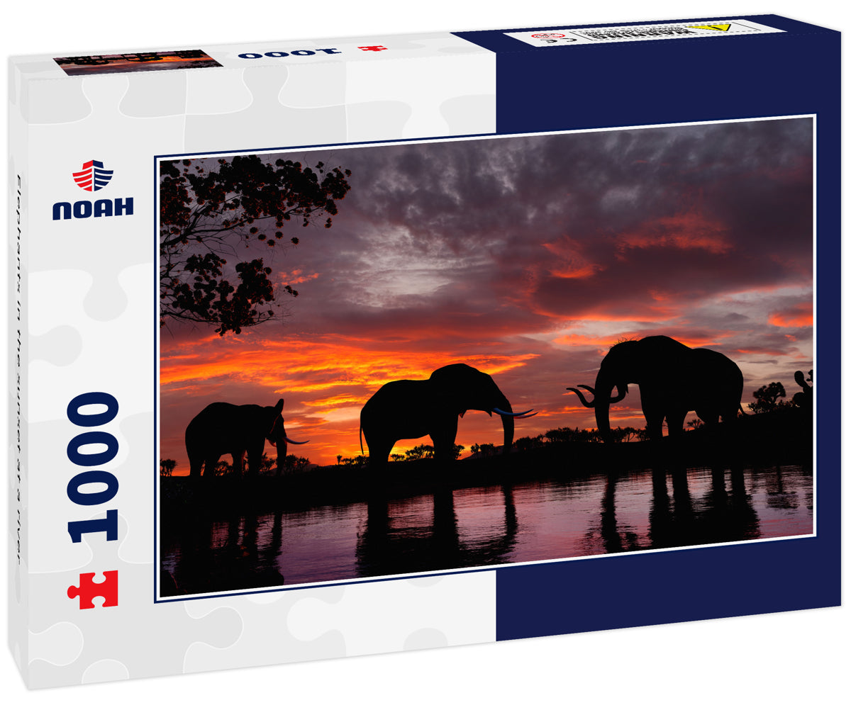 Elephants in the sunset at a river