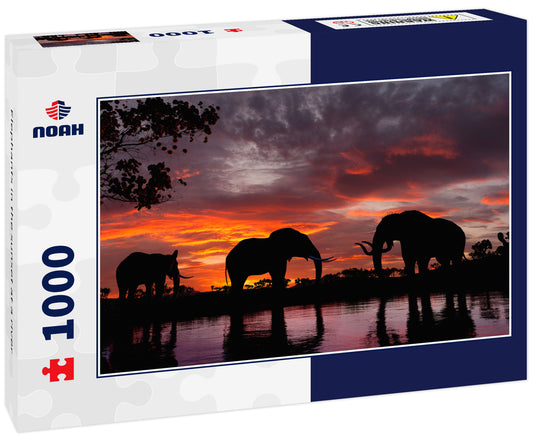 Elephants in the sunset at a river