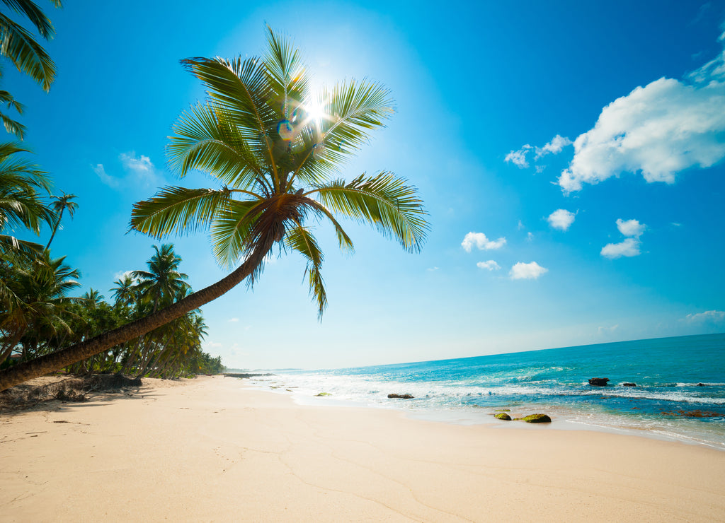 Tropical beach