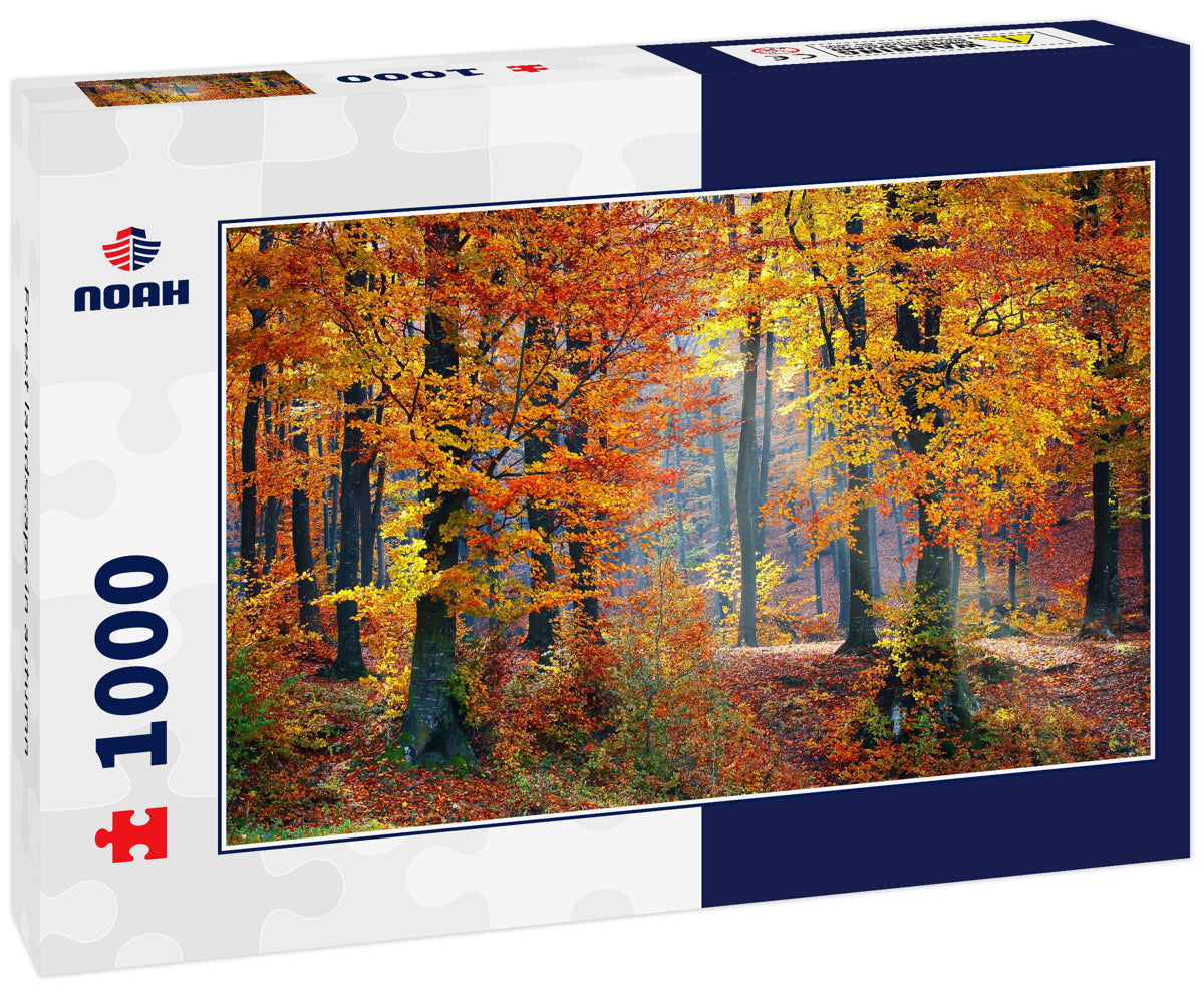 Forest landscape in autumn