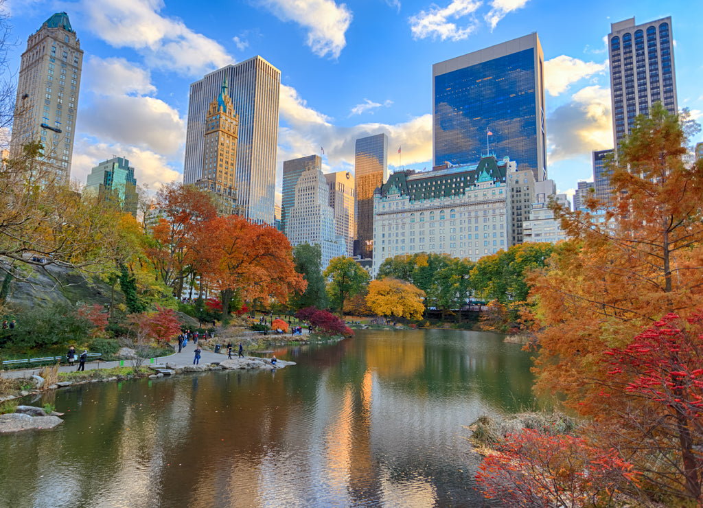 New York Central Park in autumn