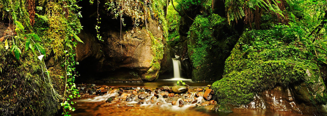 Noah Jigsaw Puzzle A beautiful glen with a waterfall and lush vegetation. Dollar Glen, Clackmannanshire, Scotland, UK, Panorama Panorama 1000 Pieces
