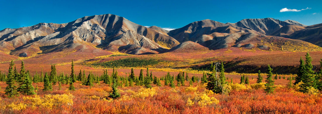 Noah Jigsaw Puzzle Denali National Park Alaska, Panorama Panorama 1000 Pieces