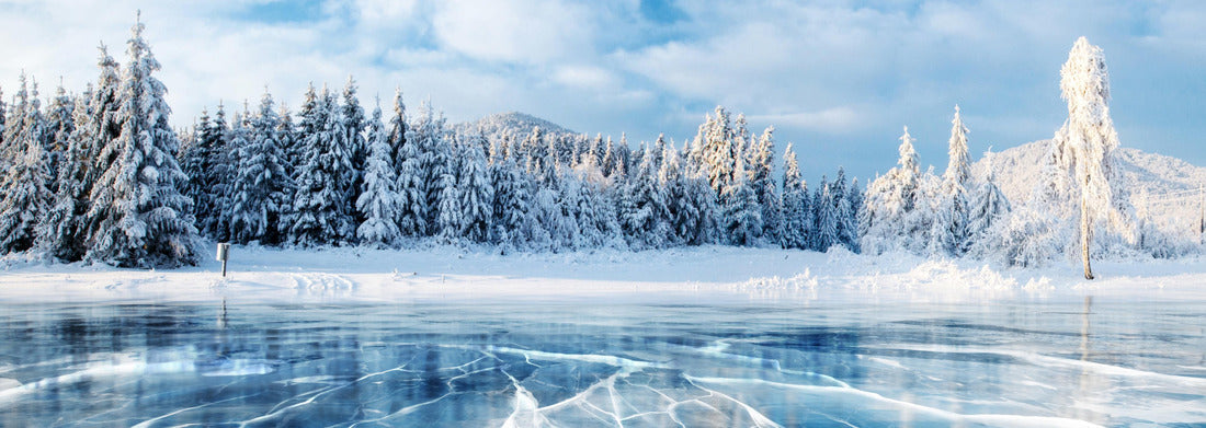 Noah Jigsaw Puzzle Blue ice and cracks on the surface of the ice. Frozen lake under a blue sky in winter. The hills of pine trees. Winter. Carpathians, Ukraine, Europe, Panorama Panorama 1000 Pieces