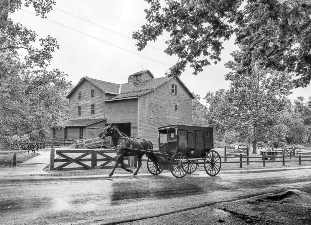 Amish Buggy at Bonneyville Mills, which is an Elkhart County Park near Bristol Indiana in black white