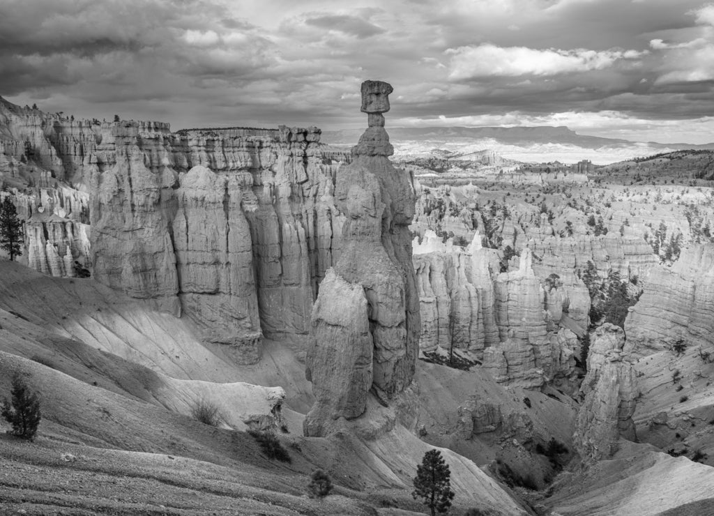 Bryce Canyon National Park, Utah at Thor's Hammer in black white