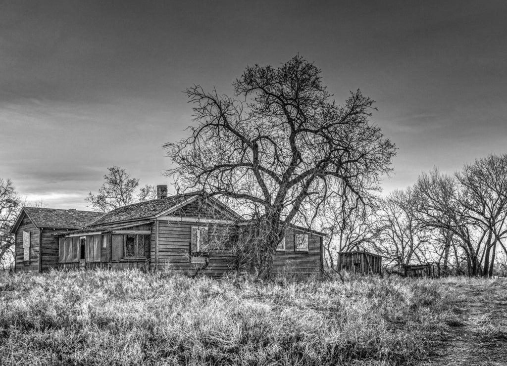 Abandoned Farm House, Nevada in black white