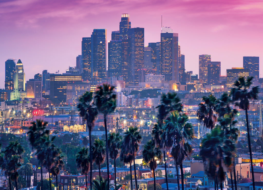 Sunset with palm trees and Los Angeles