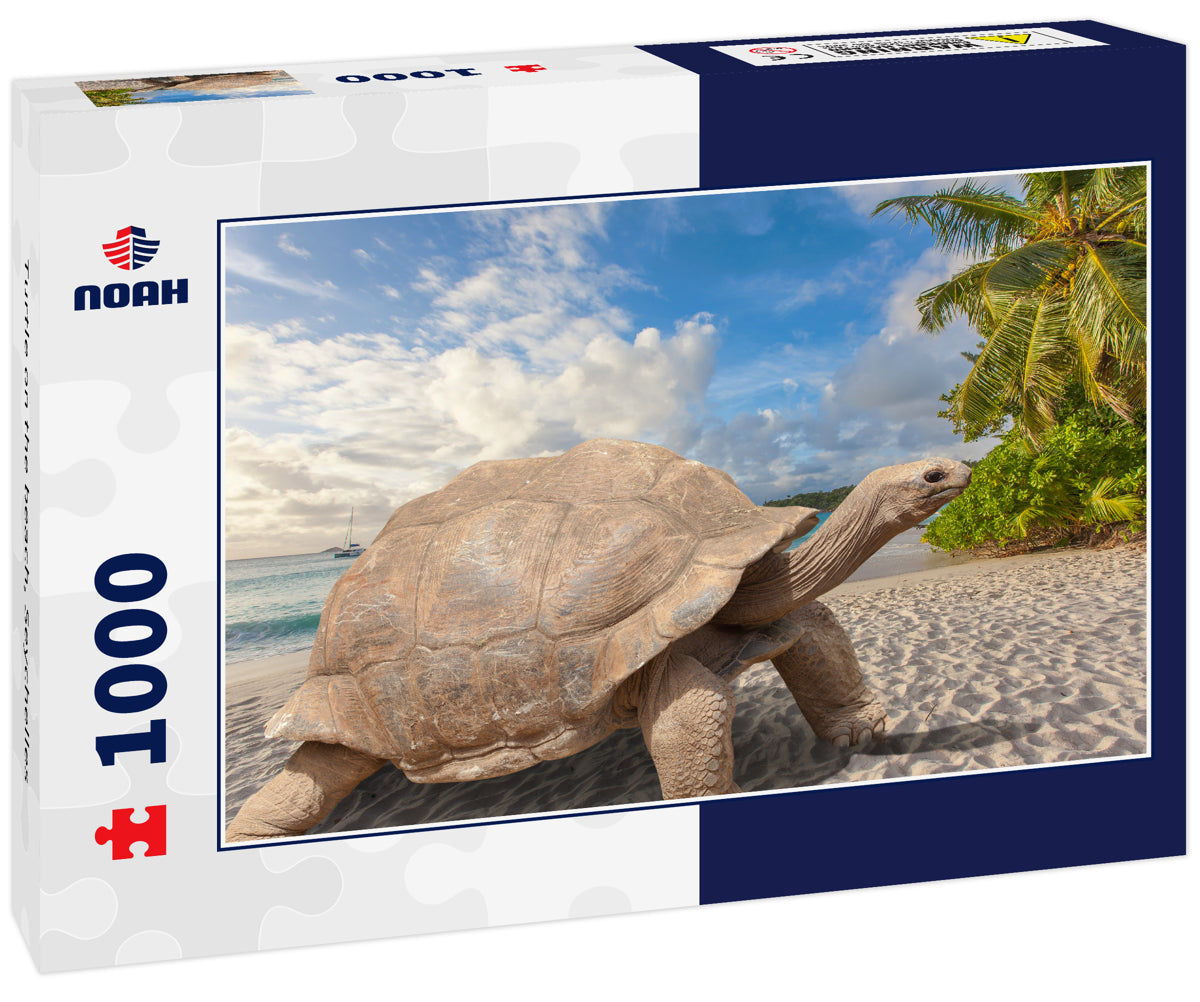 Turtle on the beach, Seychelles