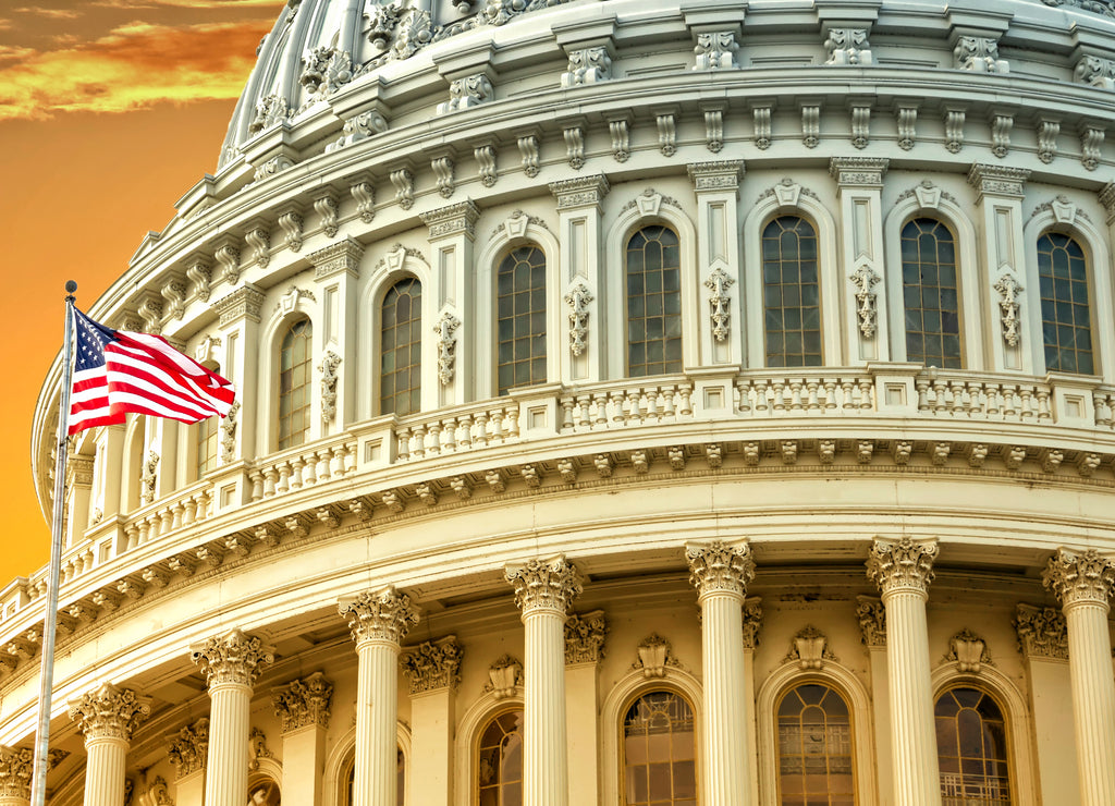 United States Capitol, Washington D.C.