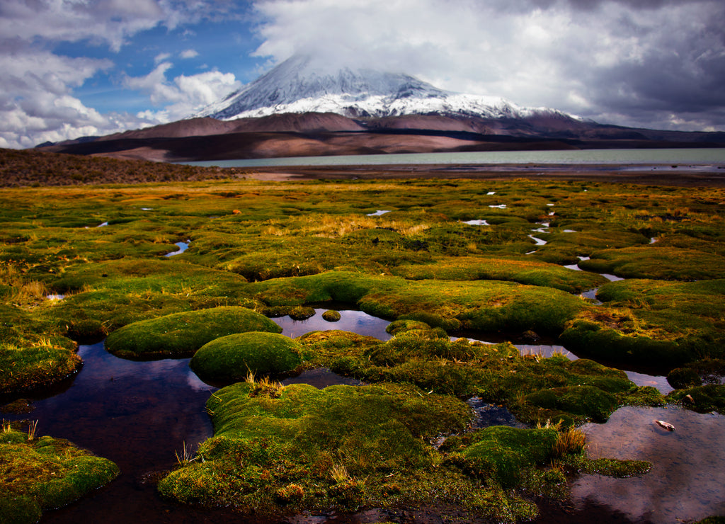 Chile, Lauca National Park