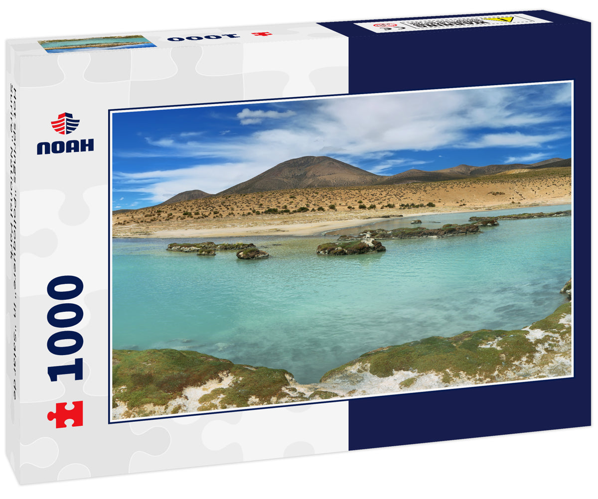 Hot springs "Polloquere" in "Salar de Surire" National Park