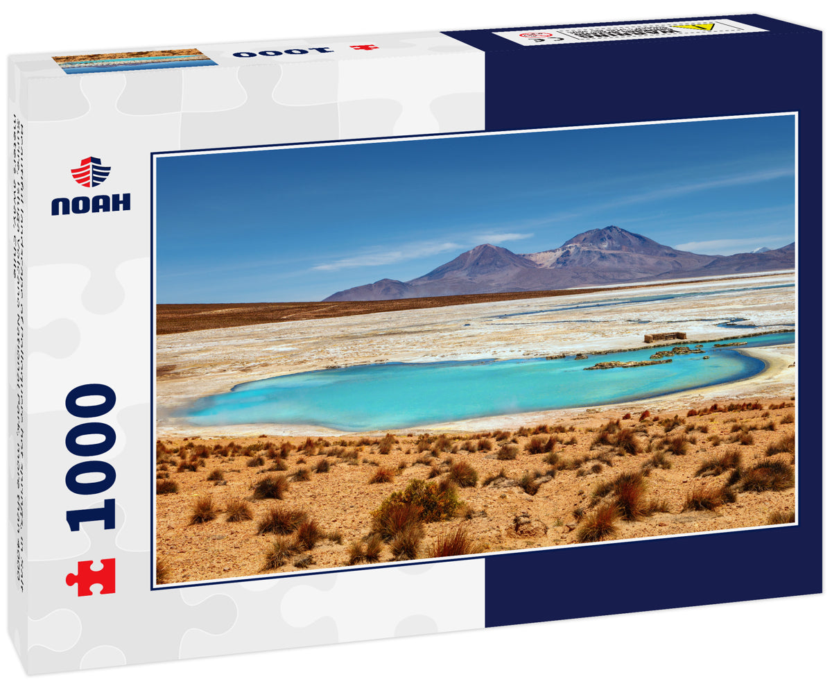 Beautiful landscape of Polloquere hot springs, in Salt Surire, Isluga Volcano National Park, more than 4000 meters away, Chile