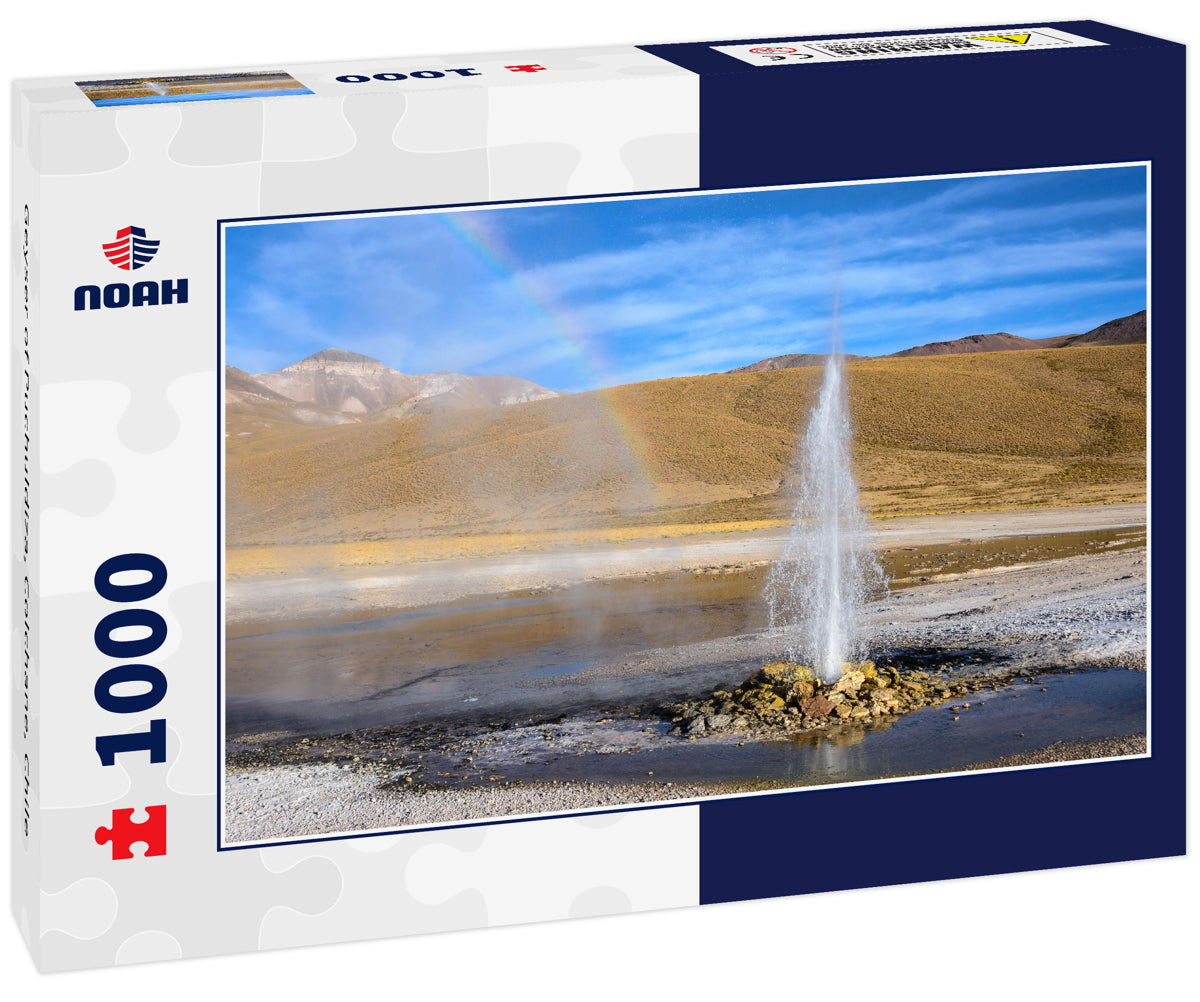 Geyser of Puchuldiza, Colchane, Chile