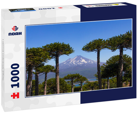 Llaima volcano, Chile