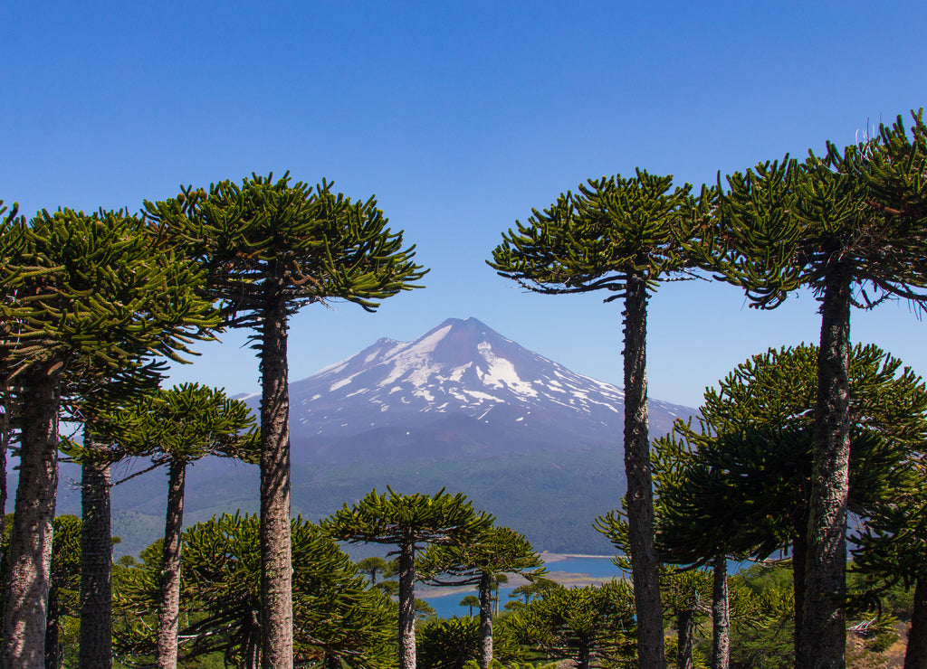 Llaima volcano, Chile