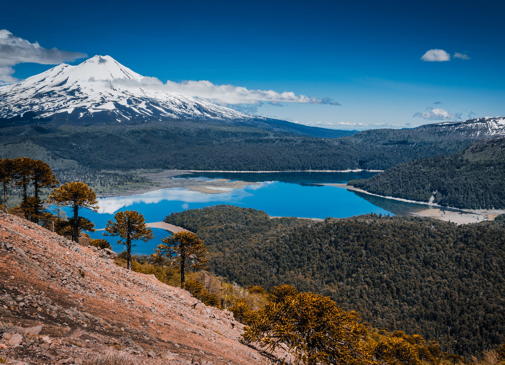 Conguillio Park, Temuco, Chile