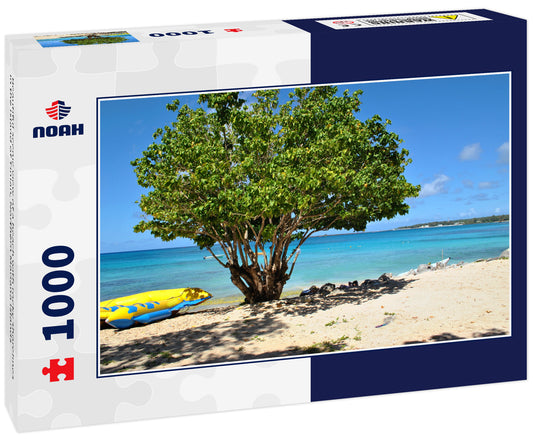 Beautiful scenic view of a beach with rocky shorelines in the island of Tinian, Northern Mariana Islands