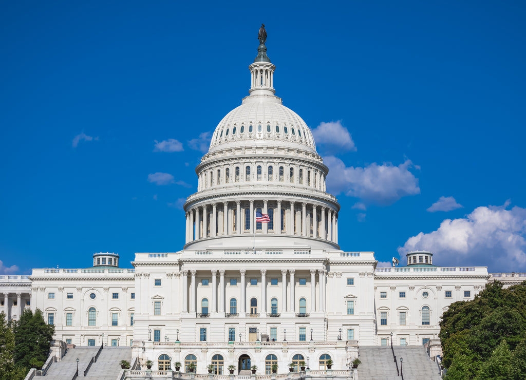 US Capitol Building in Washington, DC