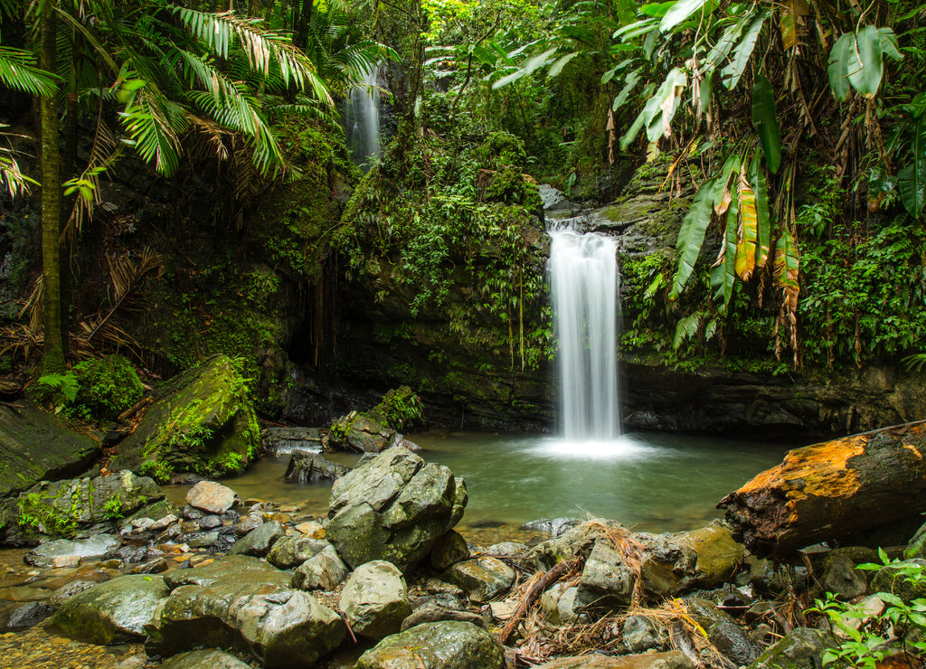 Juan Diego Falls, El Yunque, Puerto Rico